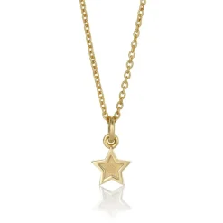David-Andersen Kun Anheng-Anheng, Guiding Star