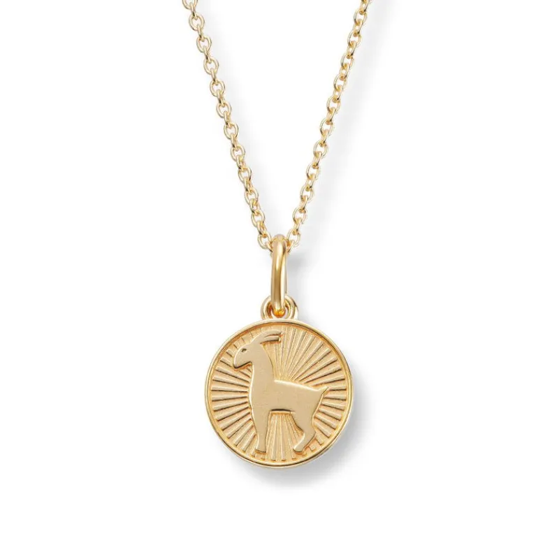 David-Andersen Anheng Med Kjede-Anheng, Stjernetegn Steinbukk 22.12 - 20.01