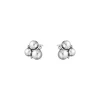 Georg Jensen Sølvøredobber-Orepynt, Grape