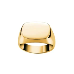 David-Andersen Gullringer-Ring, Signet Rektangulaer