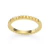 David-Andersen Gullringer-Ring, Striper Gull
