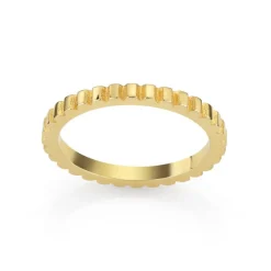 David-Andersen Gullringer-Ring, Striper Gull
