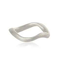 Dulong Sølvringer-Ring, Vega